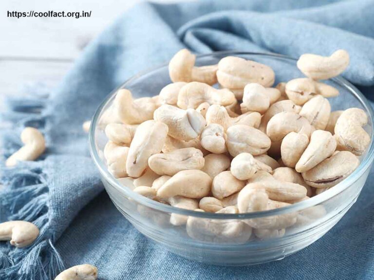 Cashew Nuts Benefits