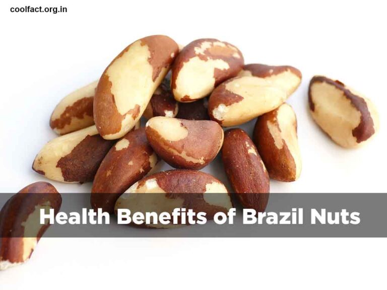 Health Benefits of Brazil Nuts