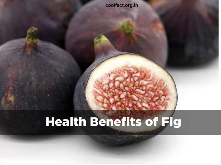 Health Benefits of Fig