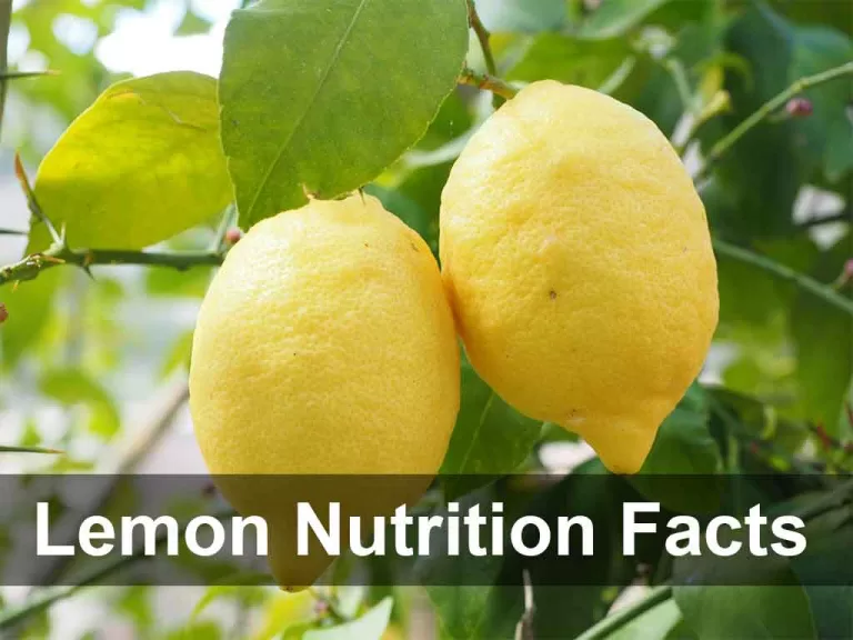 lemon nutrition facts