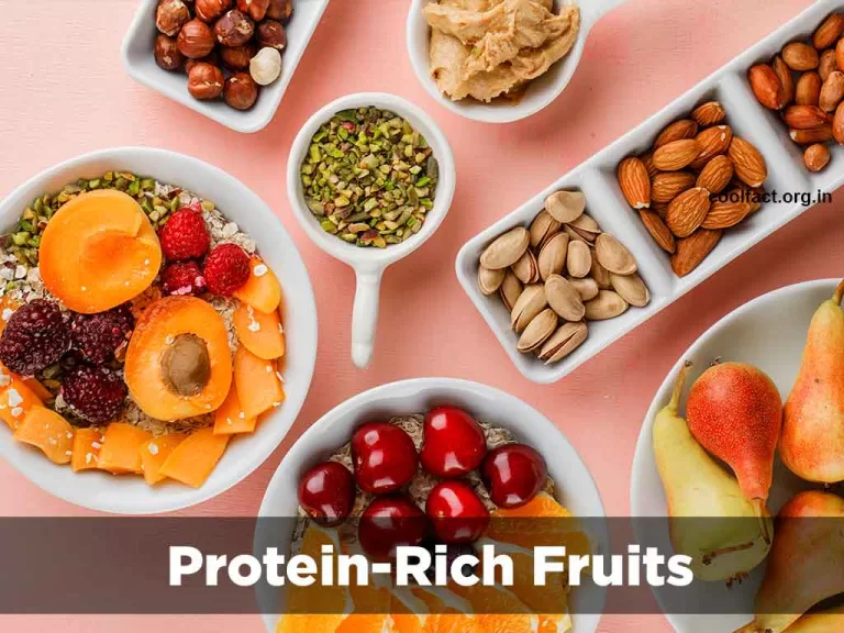 Protein rich fruits