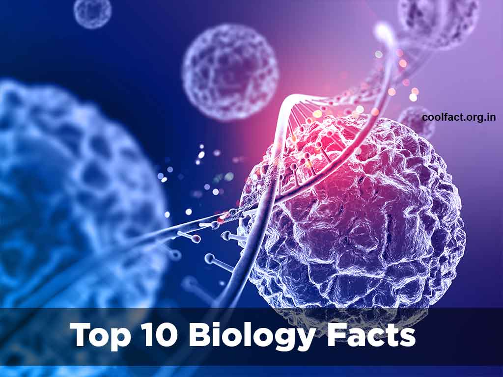 Top 10 Biology Facts You Need to Know - Cool Facts