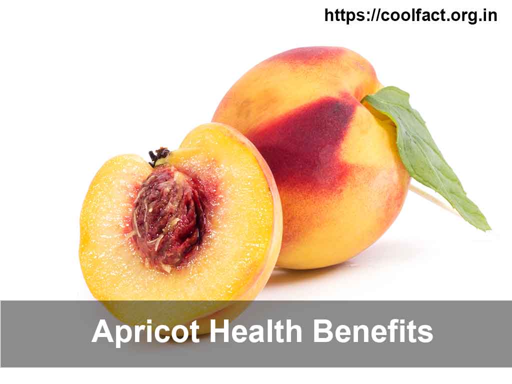 Apricot Health Benefits