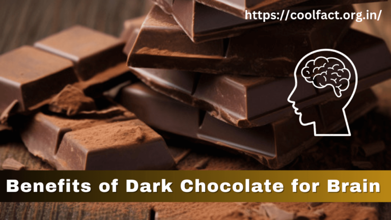 Benefits of Dark Chocolate for Brain