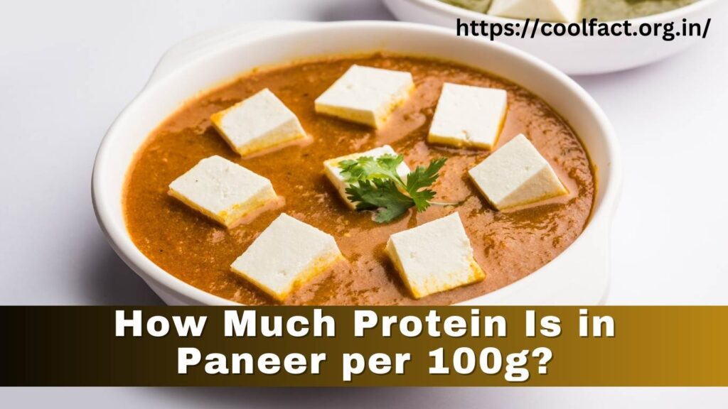 How Much Protein Is in Paneer per 100g?