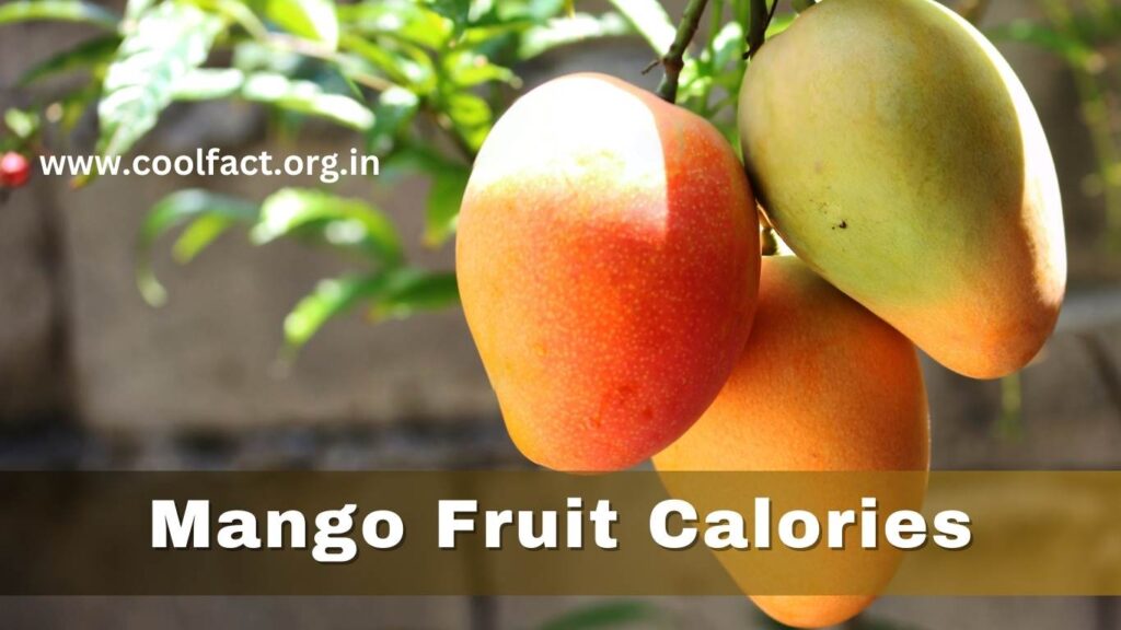 Mango Fruit Calories