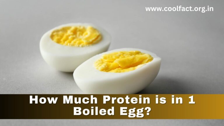 How Much Protein is in 1 Boiled Egg