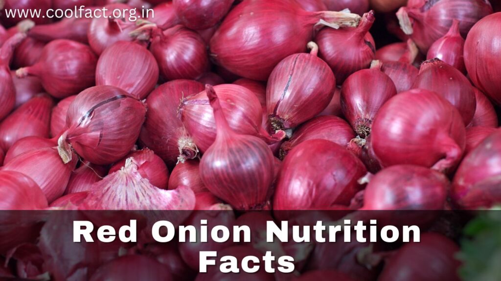 Red Onion Nutrition Facts