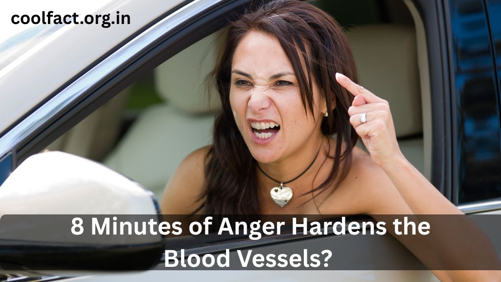 8 Minutes of Anger Hardens the Blood Vessels?